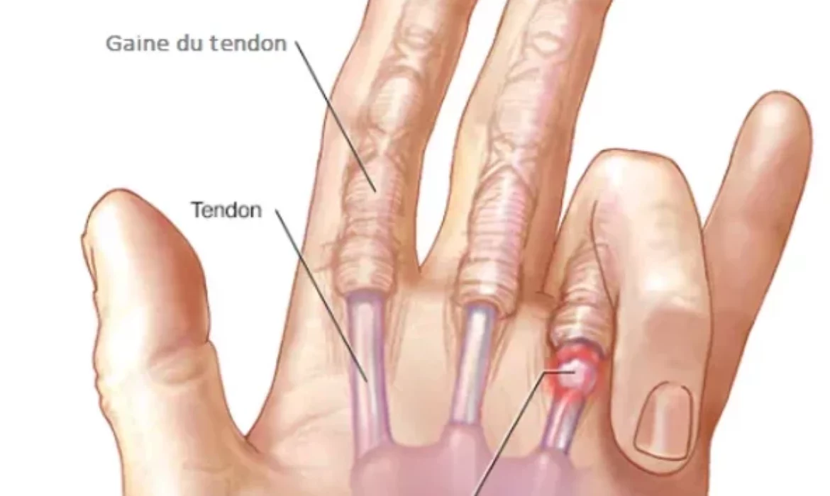 Capture d’écran 2023-05-07 112841