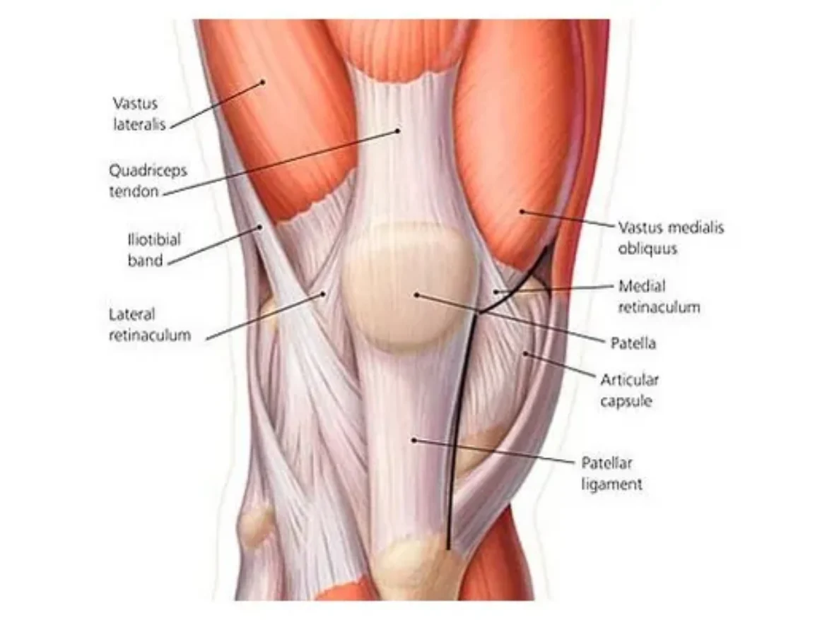 Schéma de la voie subvastus pour une prothèse de genou