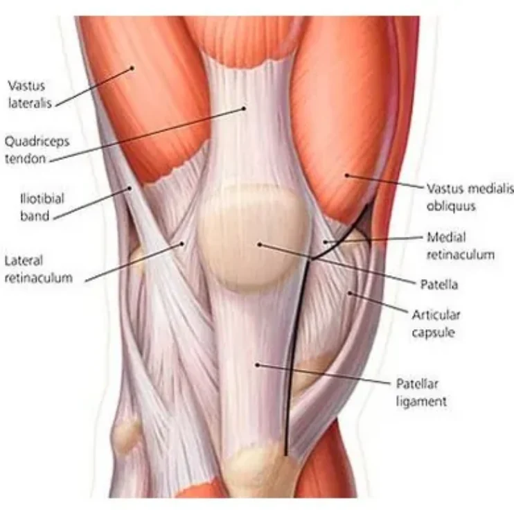 Schéma de la voie subvastus pour une prothèse de genou