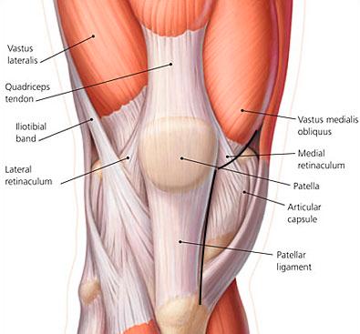 Schéma du genou : tracé de la voie subvastus, qui passe sous le vaste médial sans sectionner le tendon quadricipital